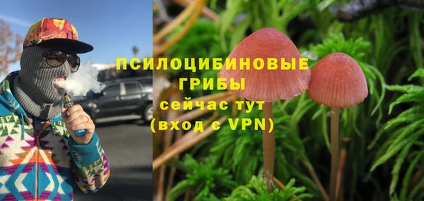 трава Алексин