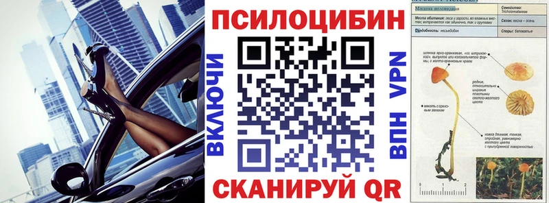купить наркоту  Юрьев-Польский  Псилоцибиновые грибы Psilocybine cubensis 