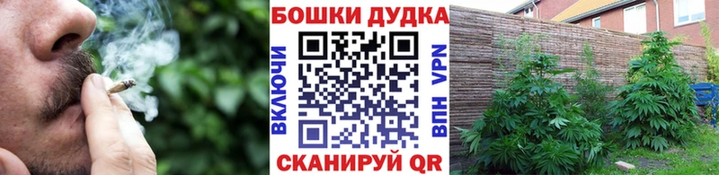 закладки  Юрьев-Польский  ссылка на мегу tor  Марихуана сатива 